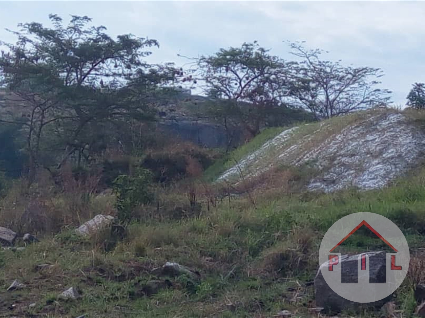 Agricultural Land for sale in Kalambi Mityana