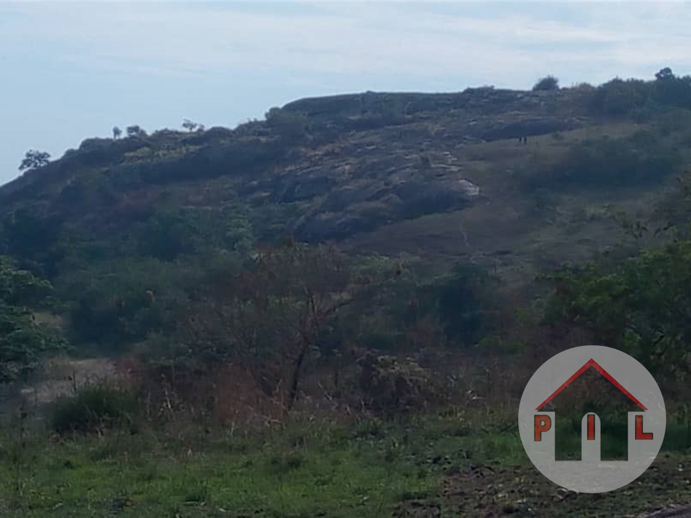 Agricultural Land for sale in Katende Mpigi