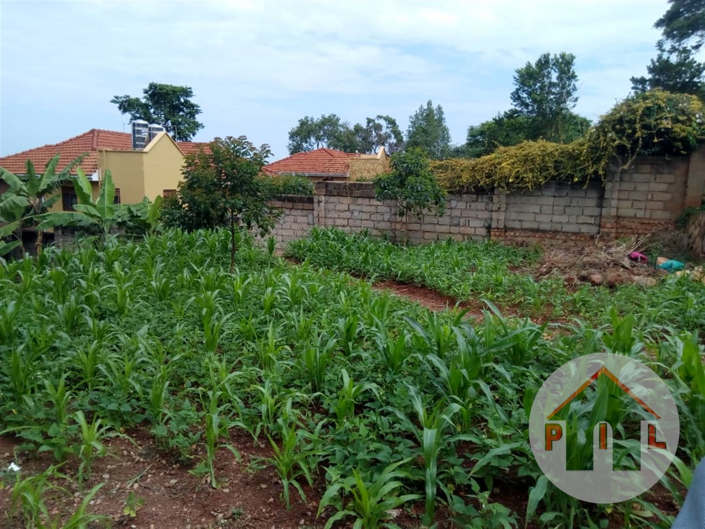 Residential Land for sale in Mpoma Mukono