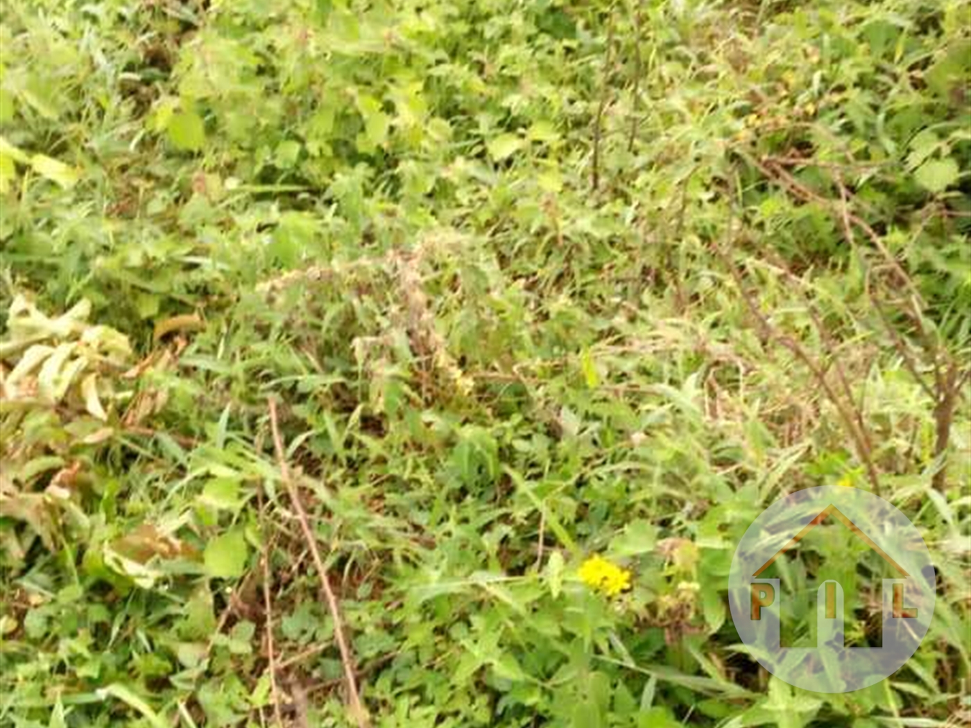 Residential Land for sale in Buwaate Wakiso