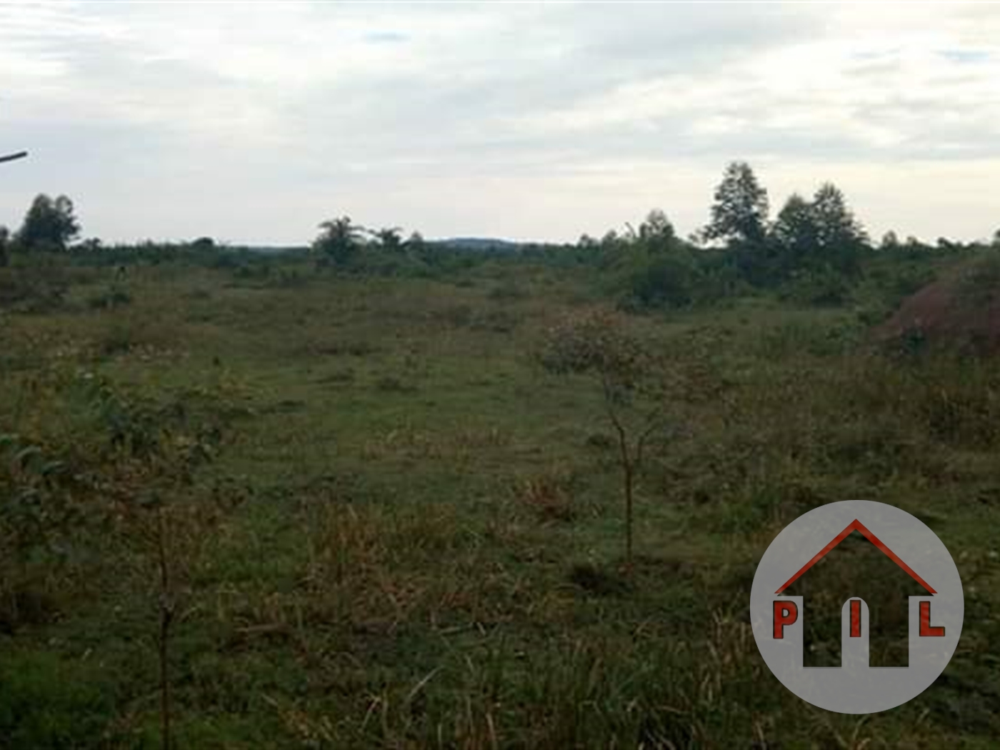 Agricultural Land for sale in Mubibbo Mukono