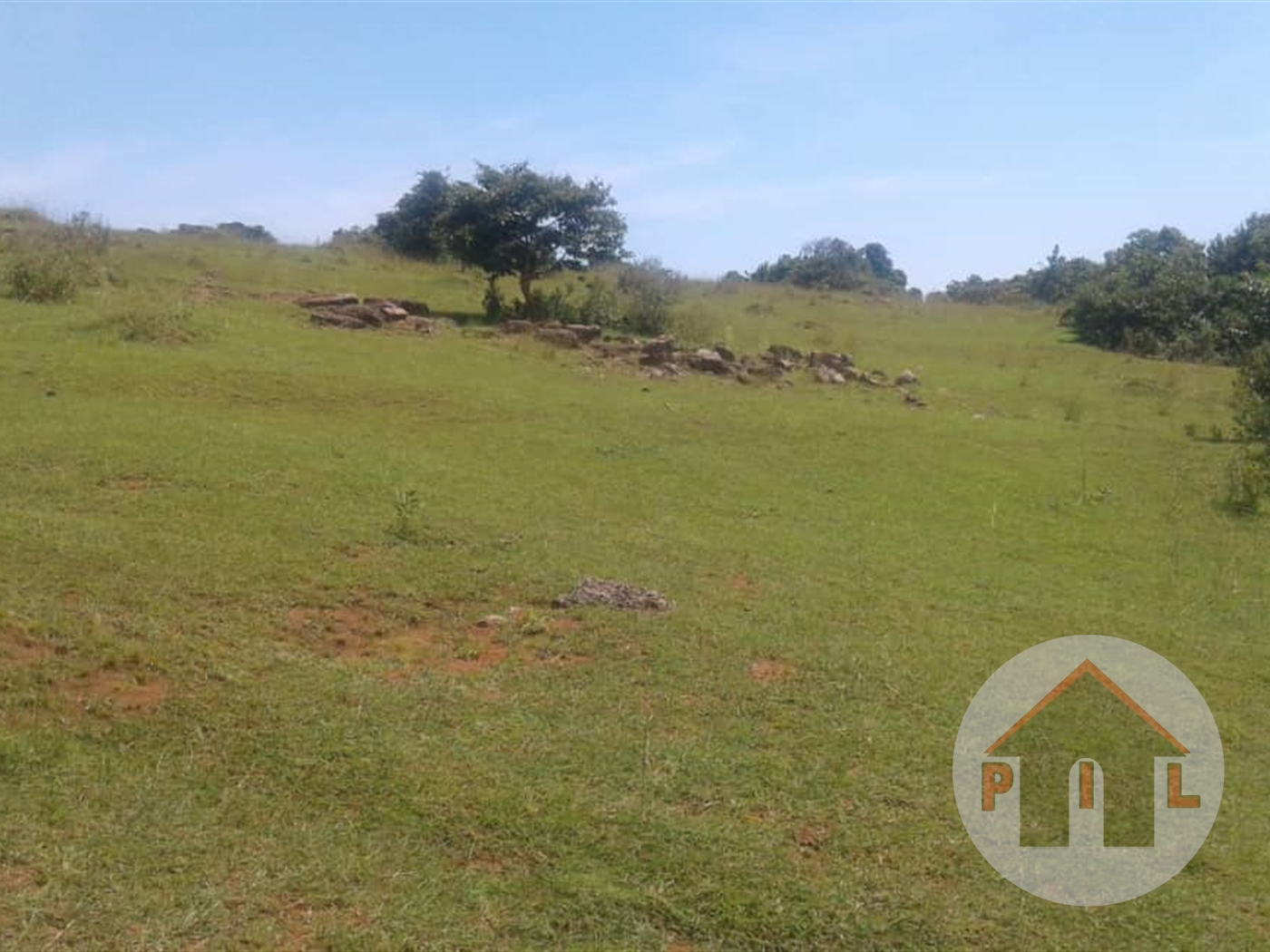 Agricultural Land for sale in Nkokonjeru Mukono