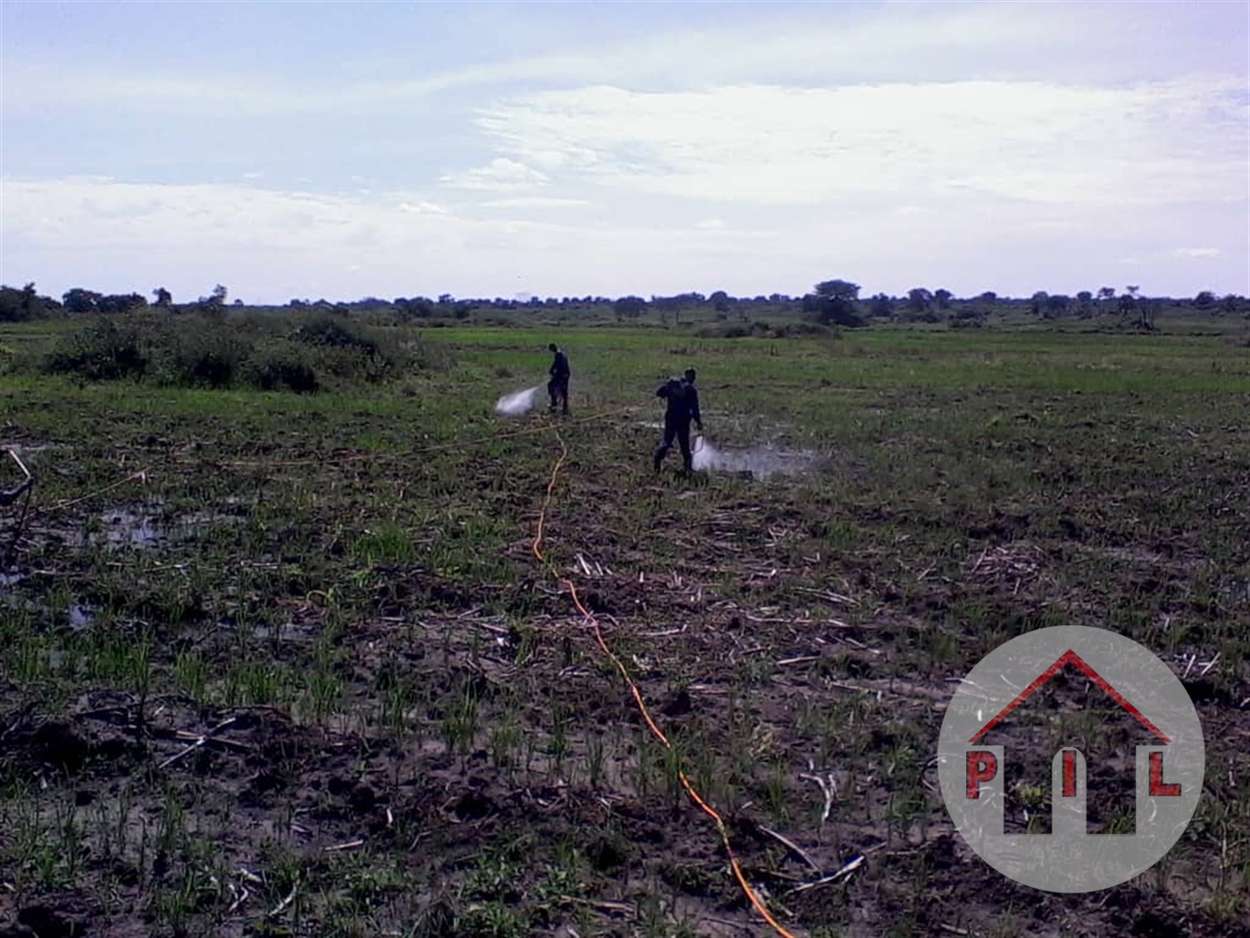 Agricultural Land for sale in Katugo Nakasongola