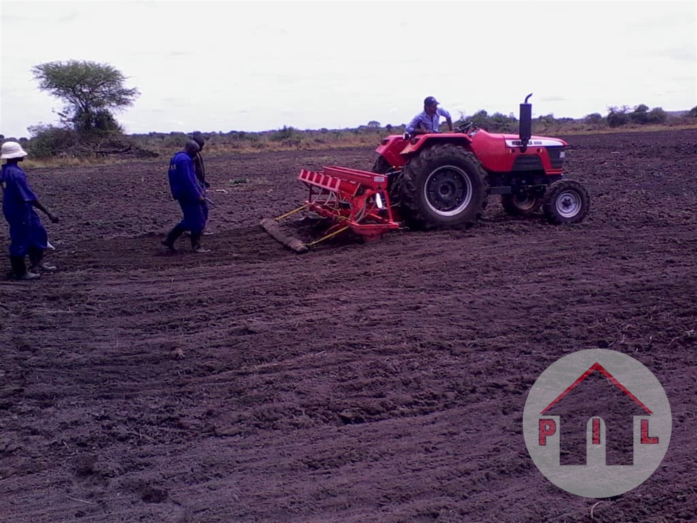 Agricultural Land for sale in Katugo Nakasongola