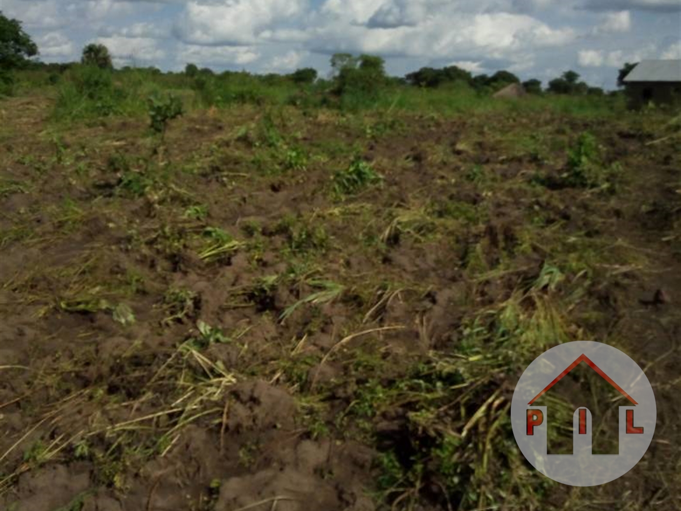 Agricultural Land for sale in Busunjju Mityana