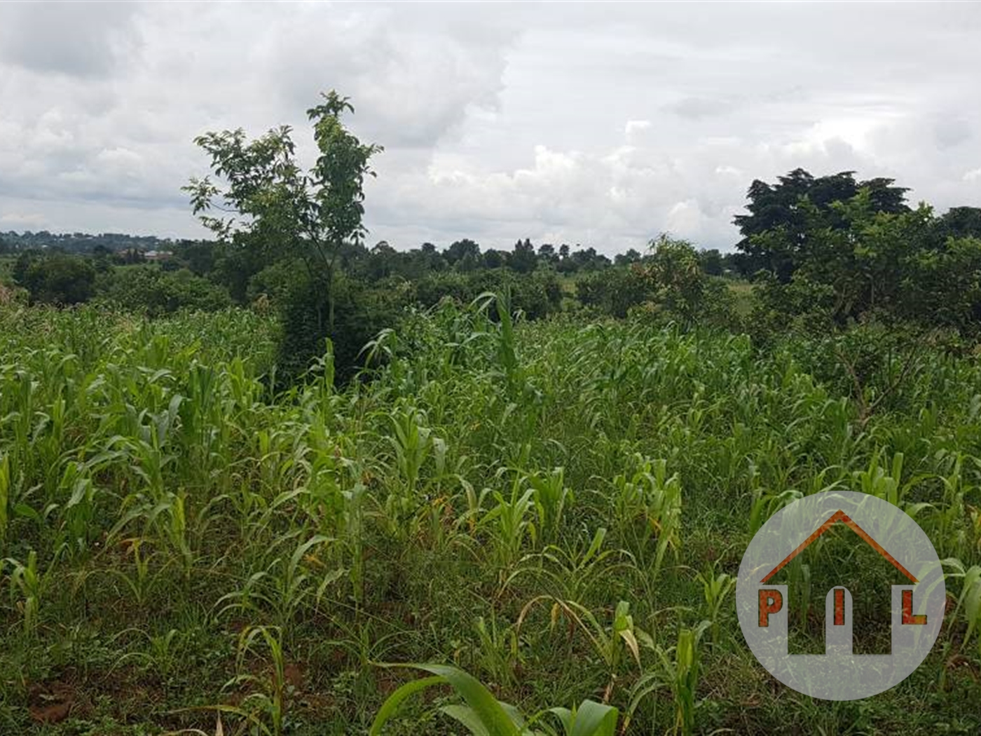 Agricultural Land for sale in Busiika Wakiso