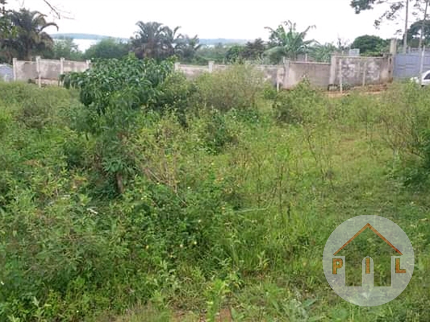 Agricultural Land for sale in Degeye Mpigi