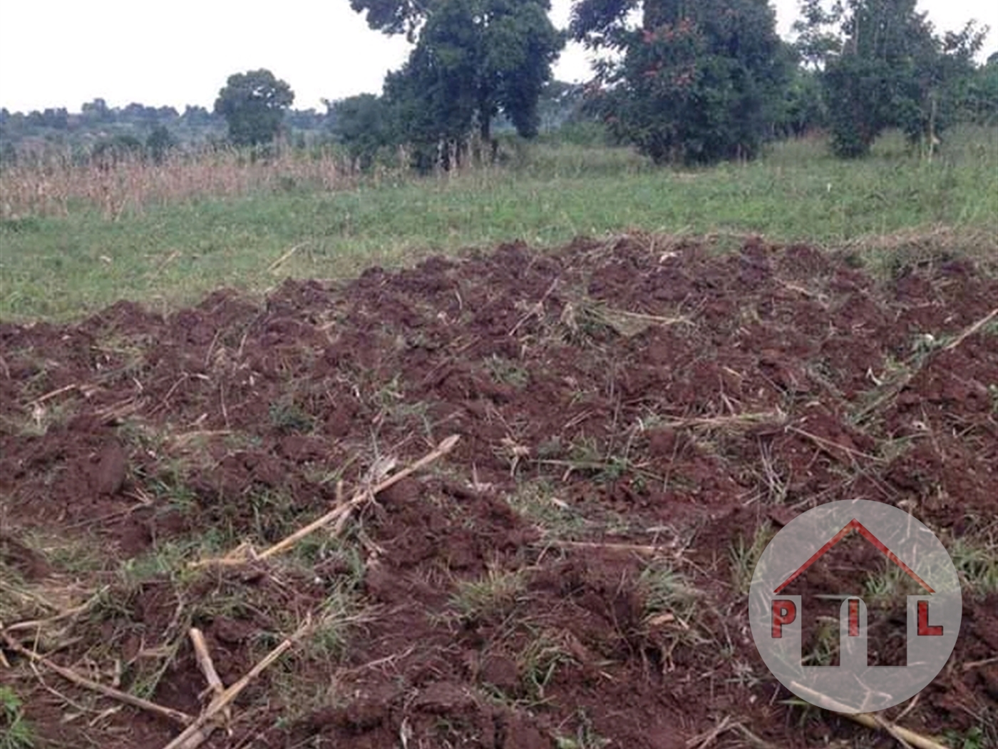 Agricultural Land for sale in Bugema Wakiso