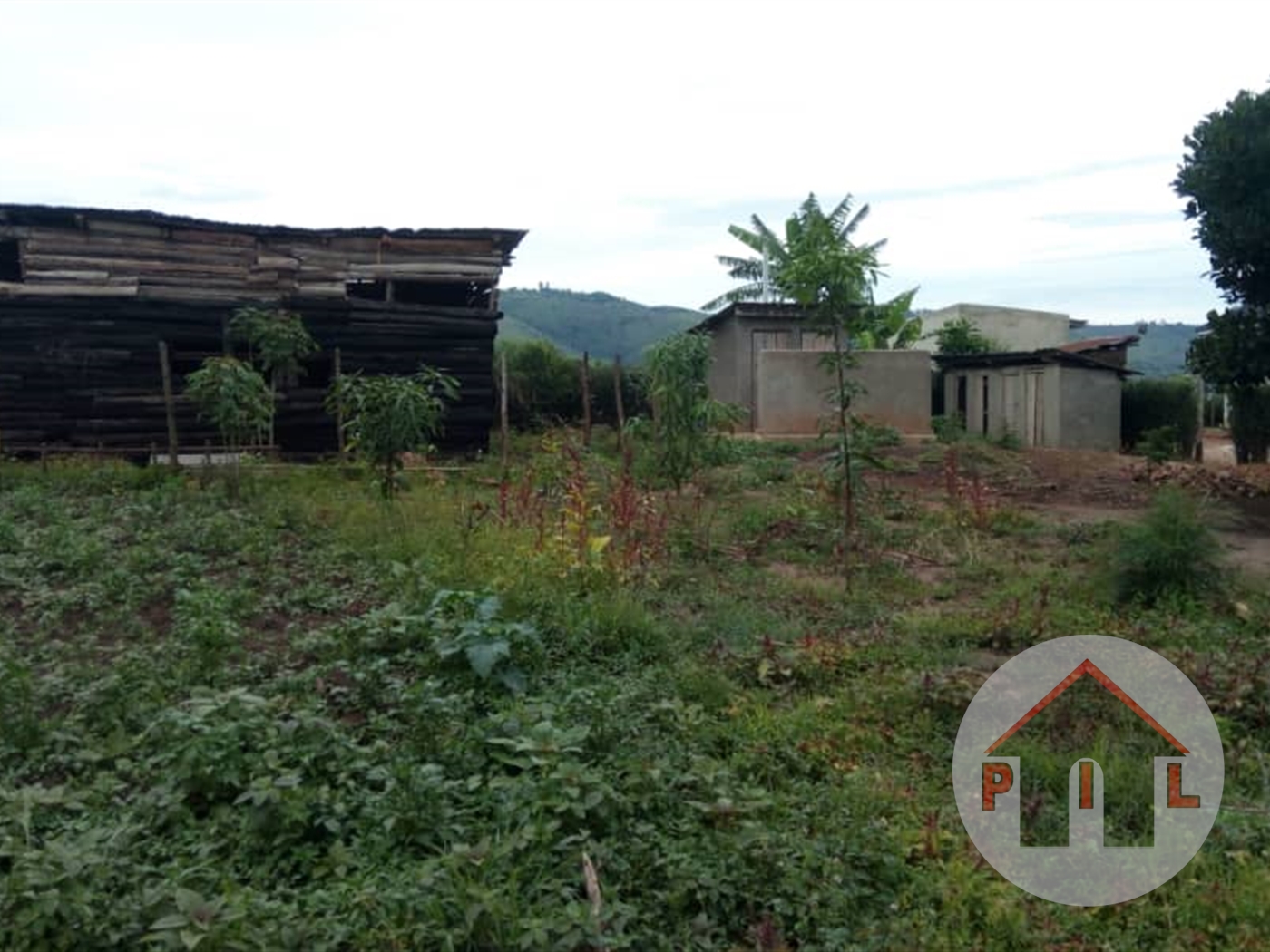 Agricultural Land for sale in Mpambile Mpigi