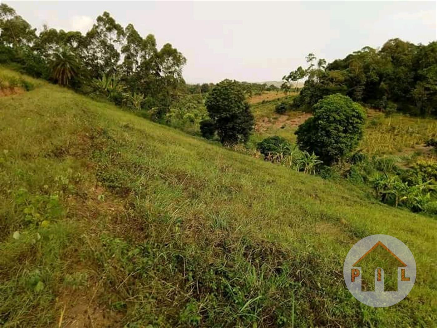 Residential Land for sale in Kakiri Wakiso