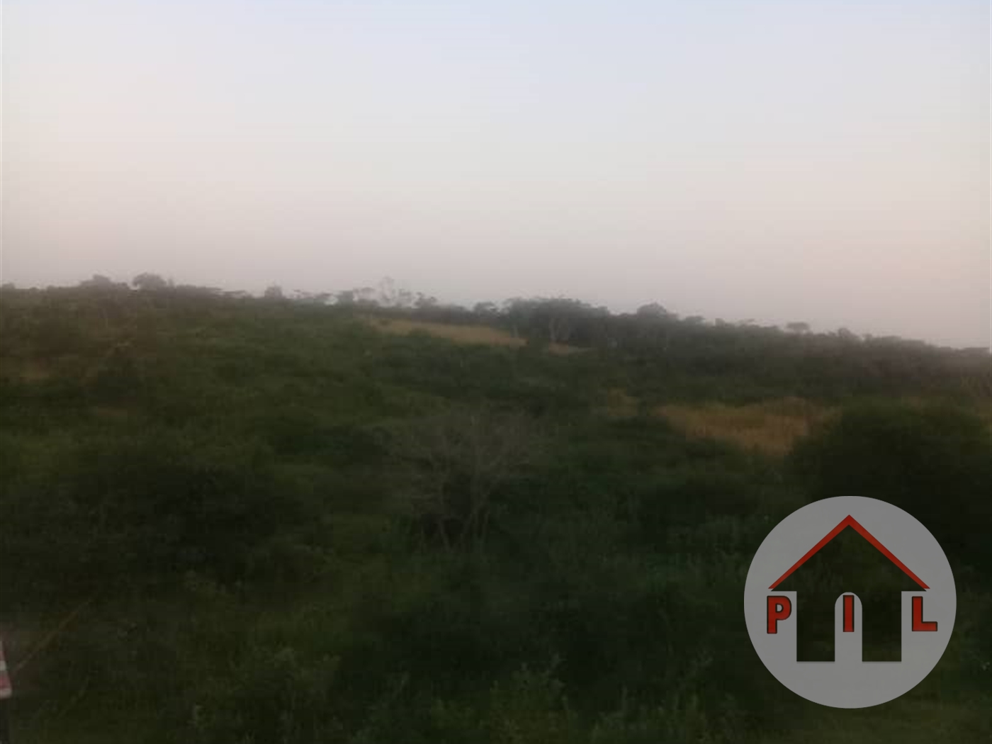 Agricultural Land for sale in Kiganda Mubende