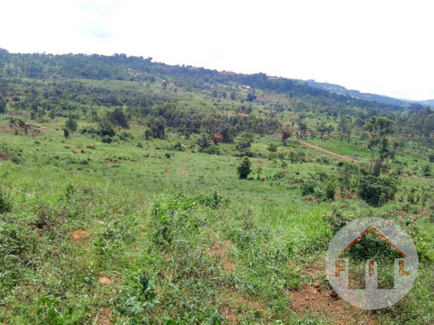 Residential Land for sale in Katende Wakiso