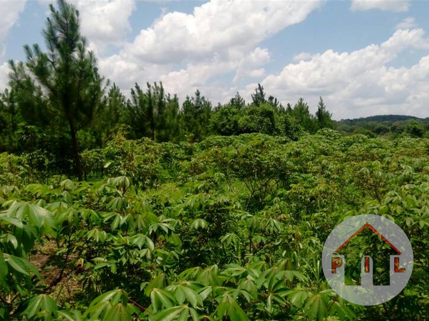 Agricultural Land for sale in Kiwenda Wakiso