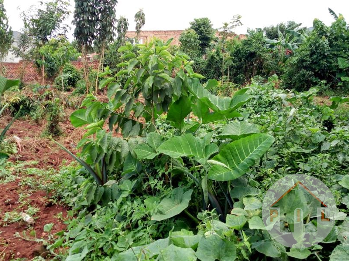 Residential Land for sale in Buwaate Wakiso