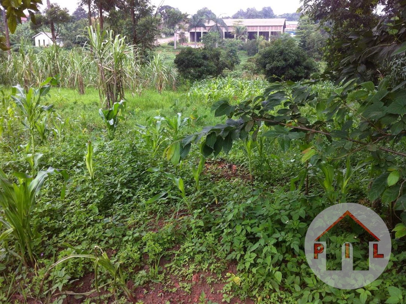 Residential Land for sale in Mpererwe Wakiso