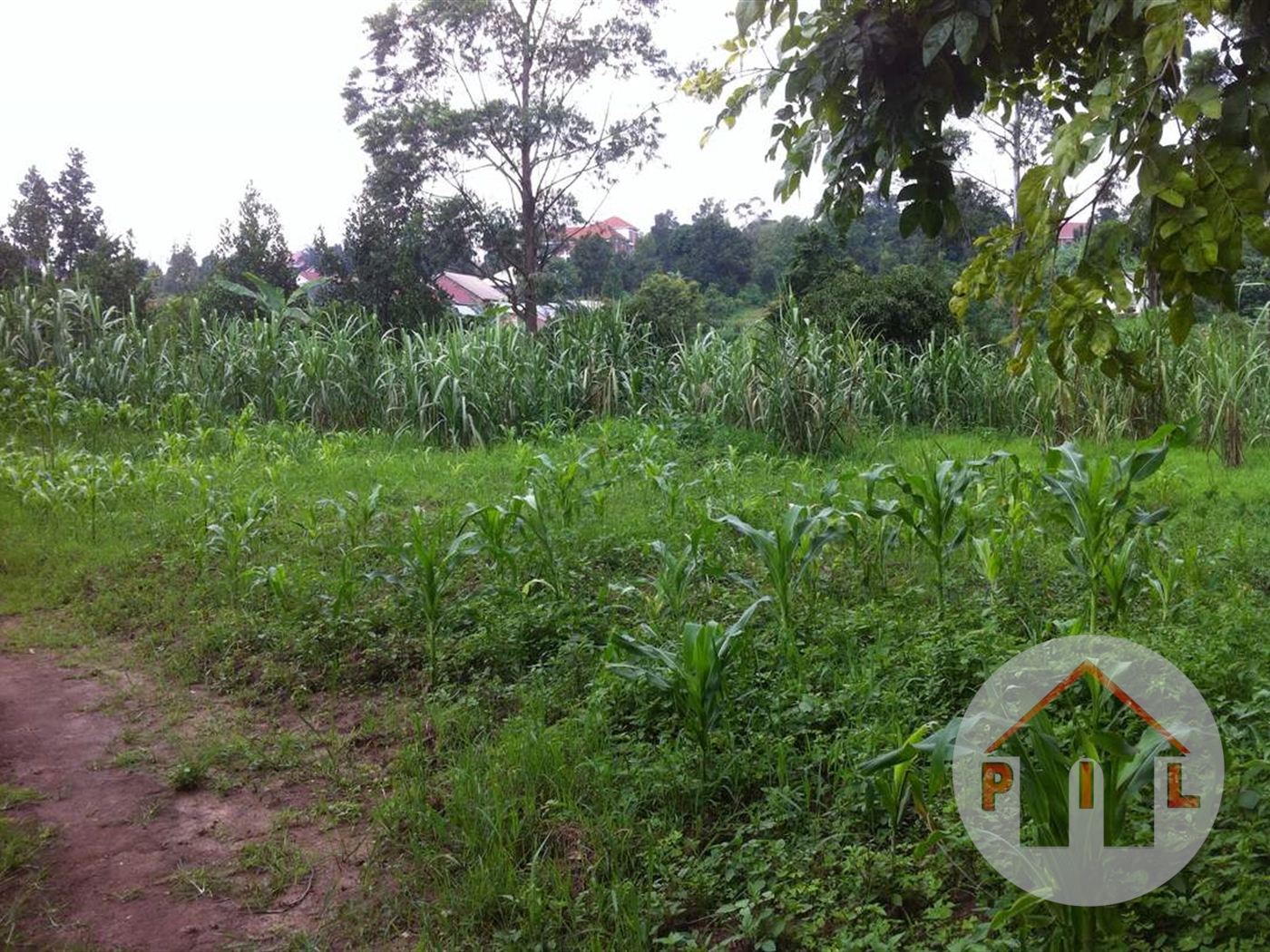 Residential Land for sale in Mpererwe Wakiso