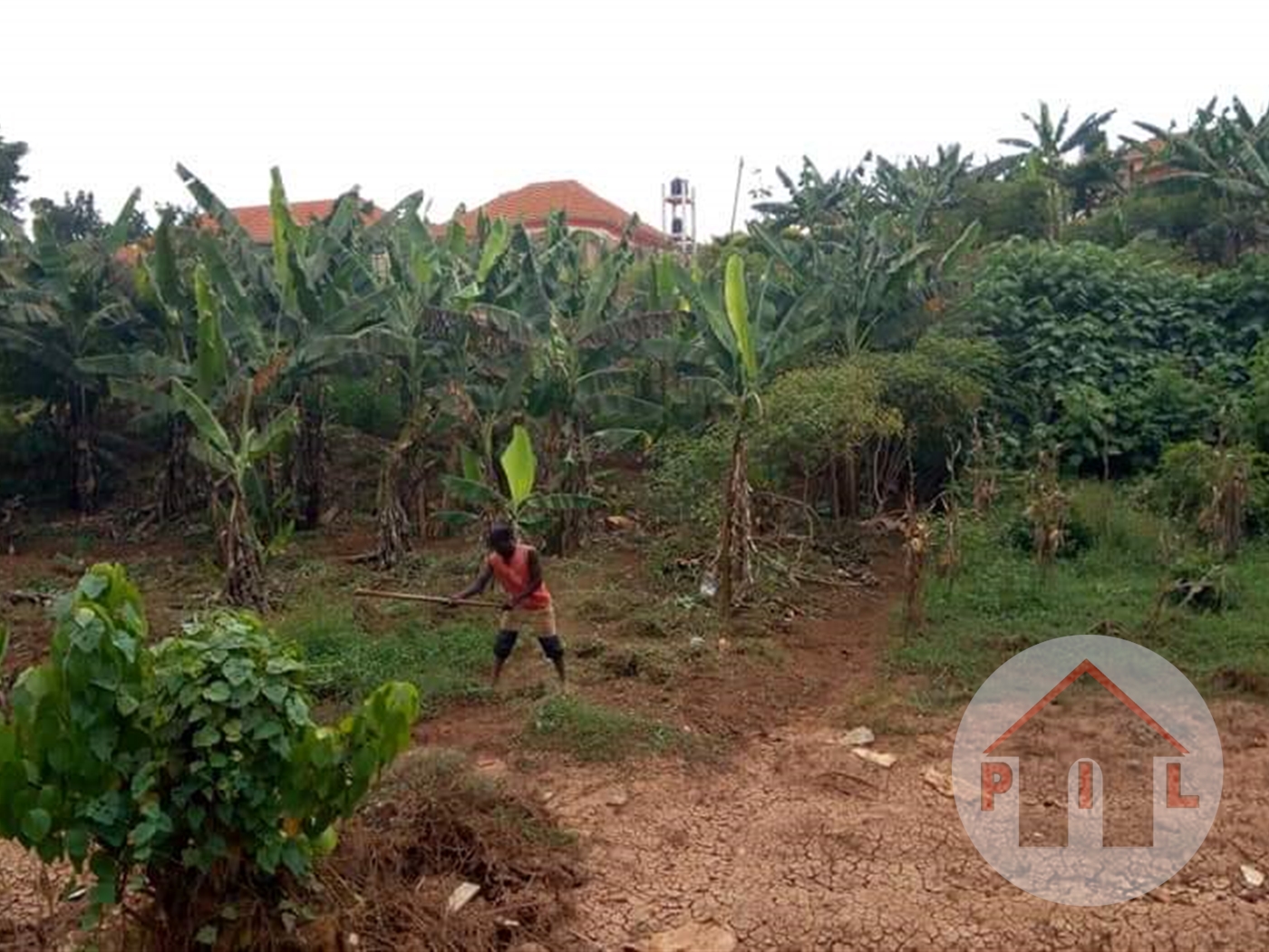 Agricultural Land for sale in Ntinda Kampala