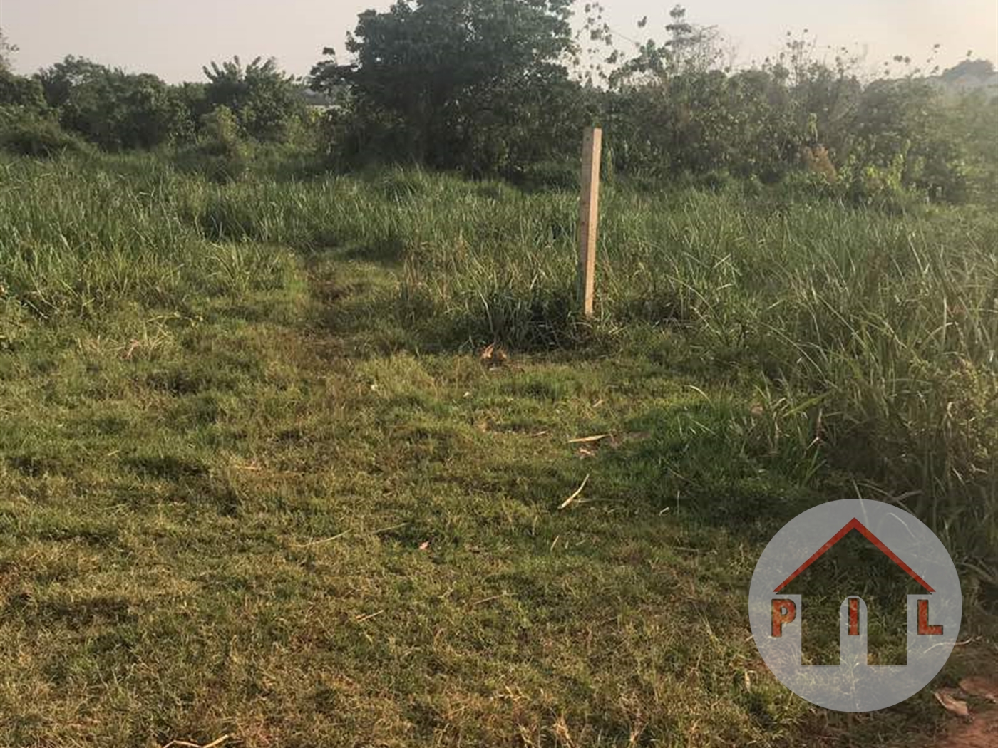 Agricultural Land for sale in Naggalama Wakiso