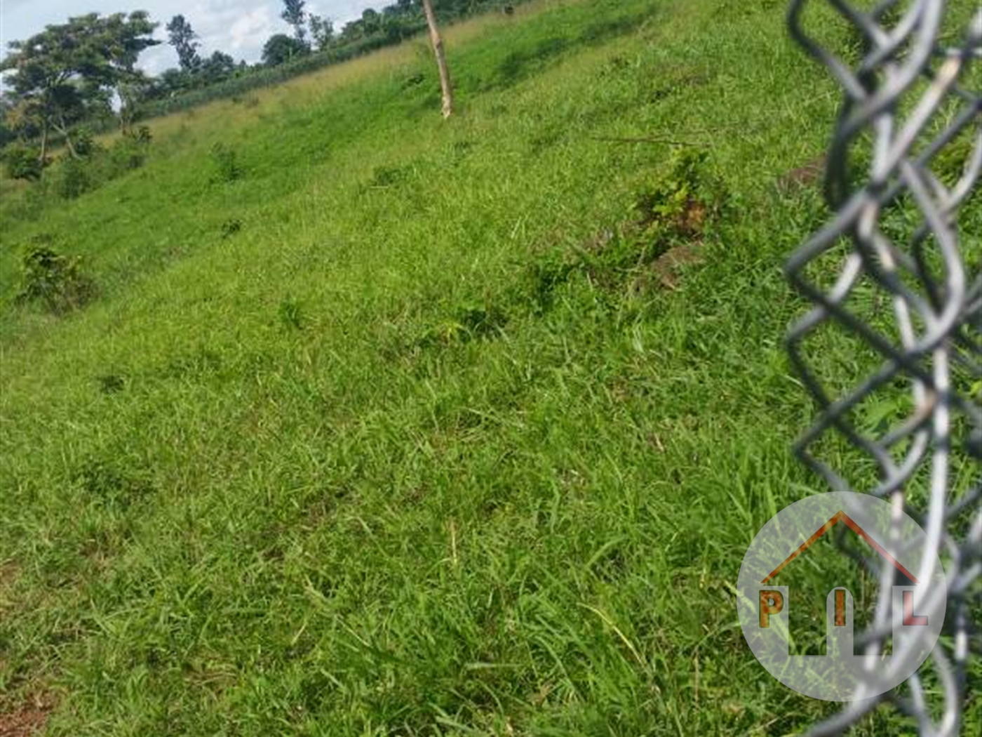 Agricultural Land for sale in Busiika Wakiso