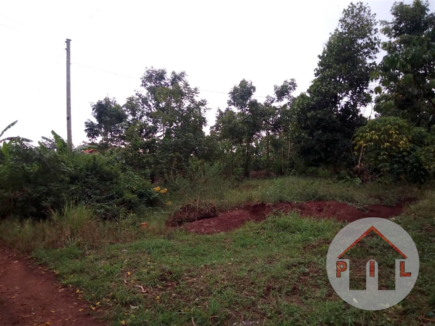 Agricultural Land for sale in Bukalasa Luweero