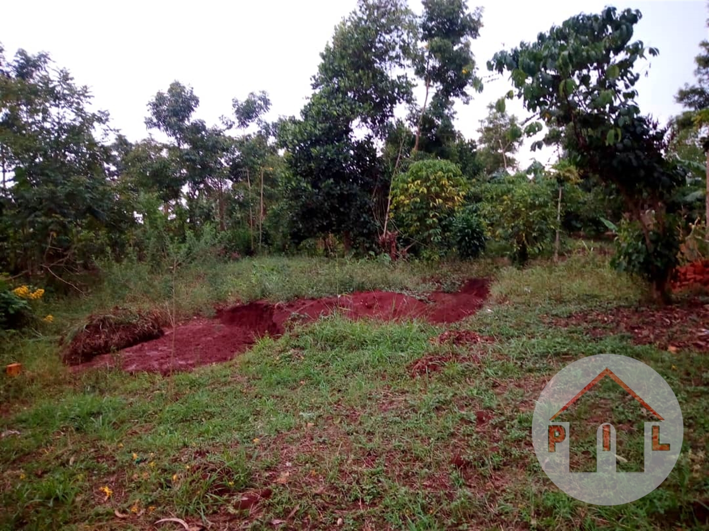 Agricultural Land for sale in Bukalasa Luweero