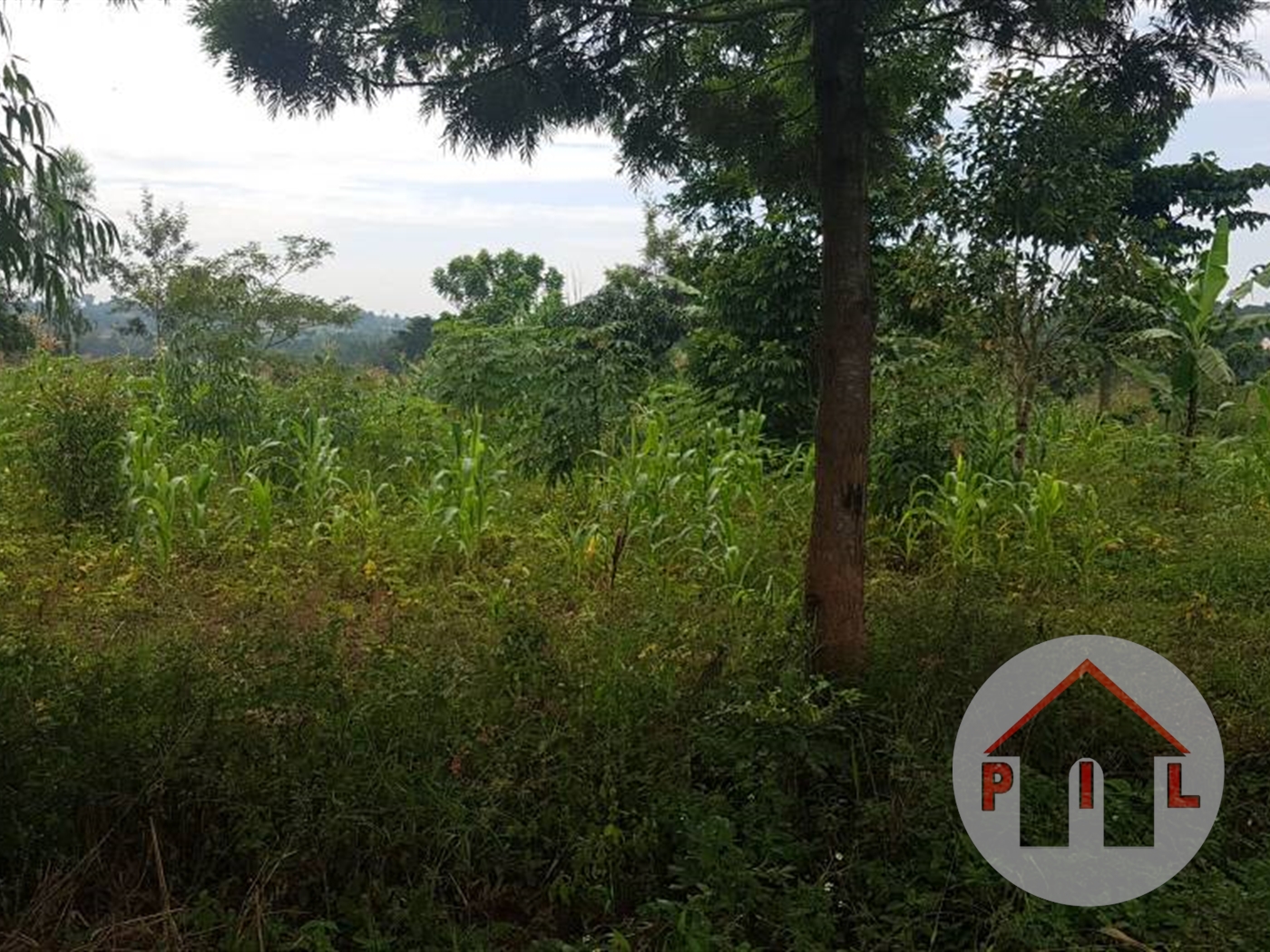 Residential Land for sale in Buyuki Luweero