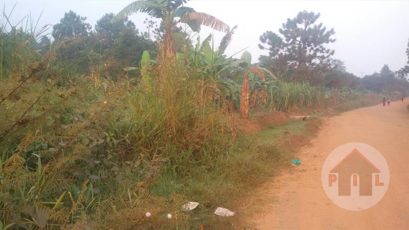 Residential Land for sale in Lutembe Wakiso