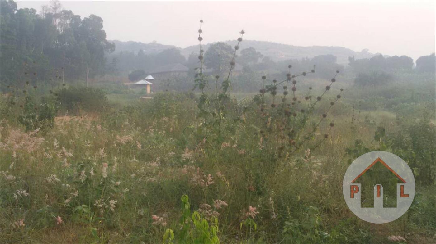 Residential Land for sale in Lutembe Wakiso