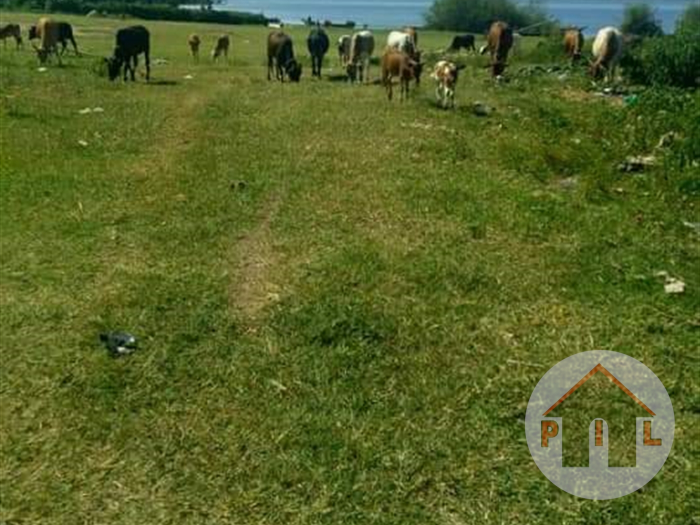 Agricultural Land for sale in Kooki Rakai