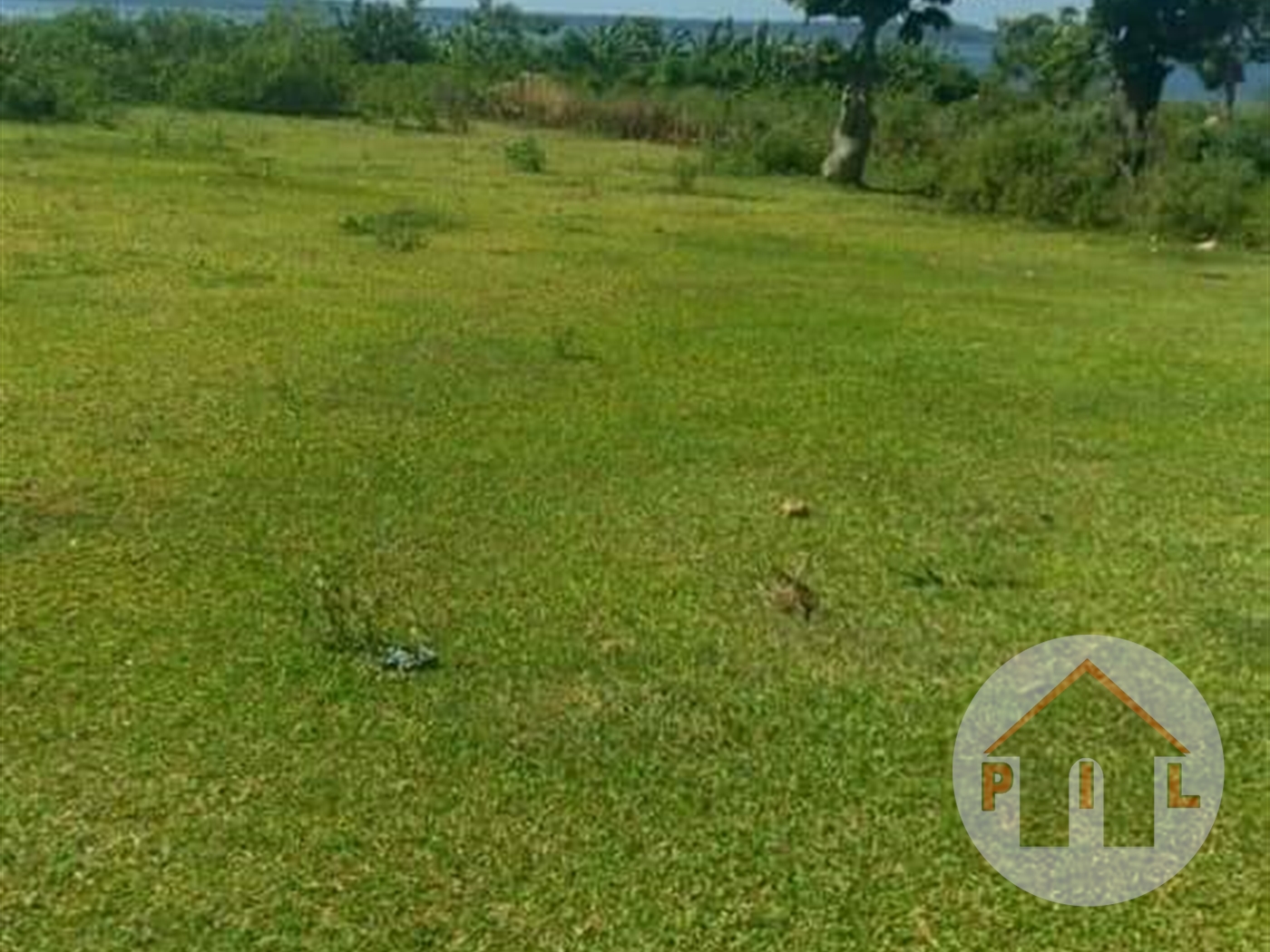 Agricultural Land for sale in Nkumba Wakiso