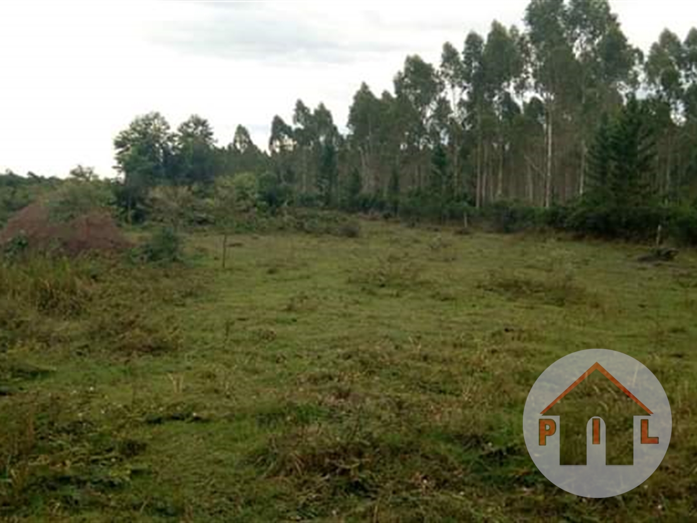 Agricultural Land for sale in Butuntumula Luweero