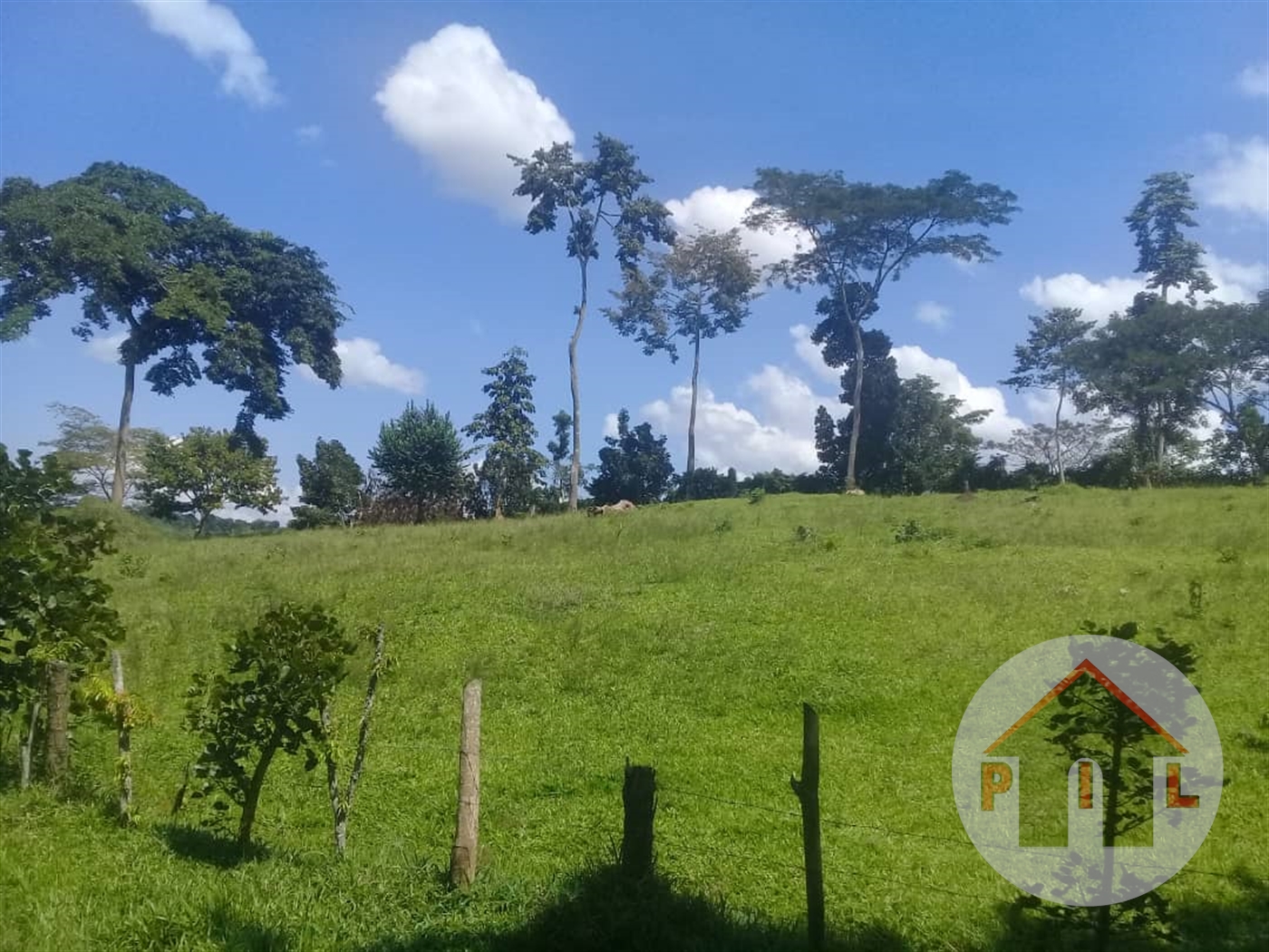 Agricultural Land for sale in Matugga Wakiso