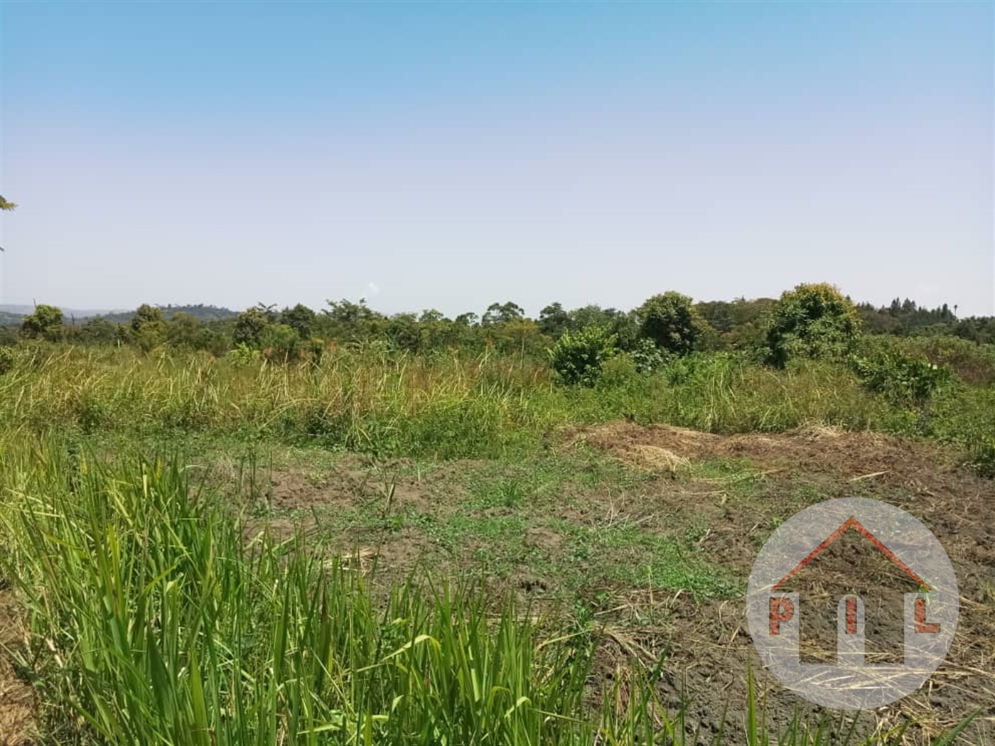 Agricultural Land for sale in Seeta Mukono