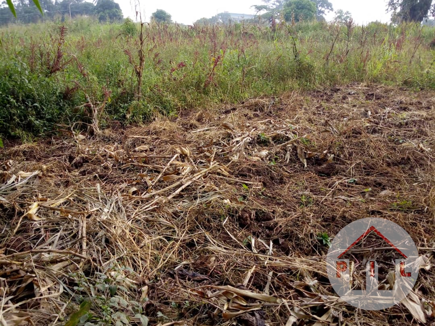 Residential Land for sale in Kiwenda Wakiso