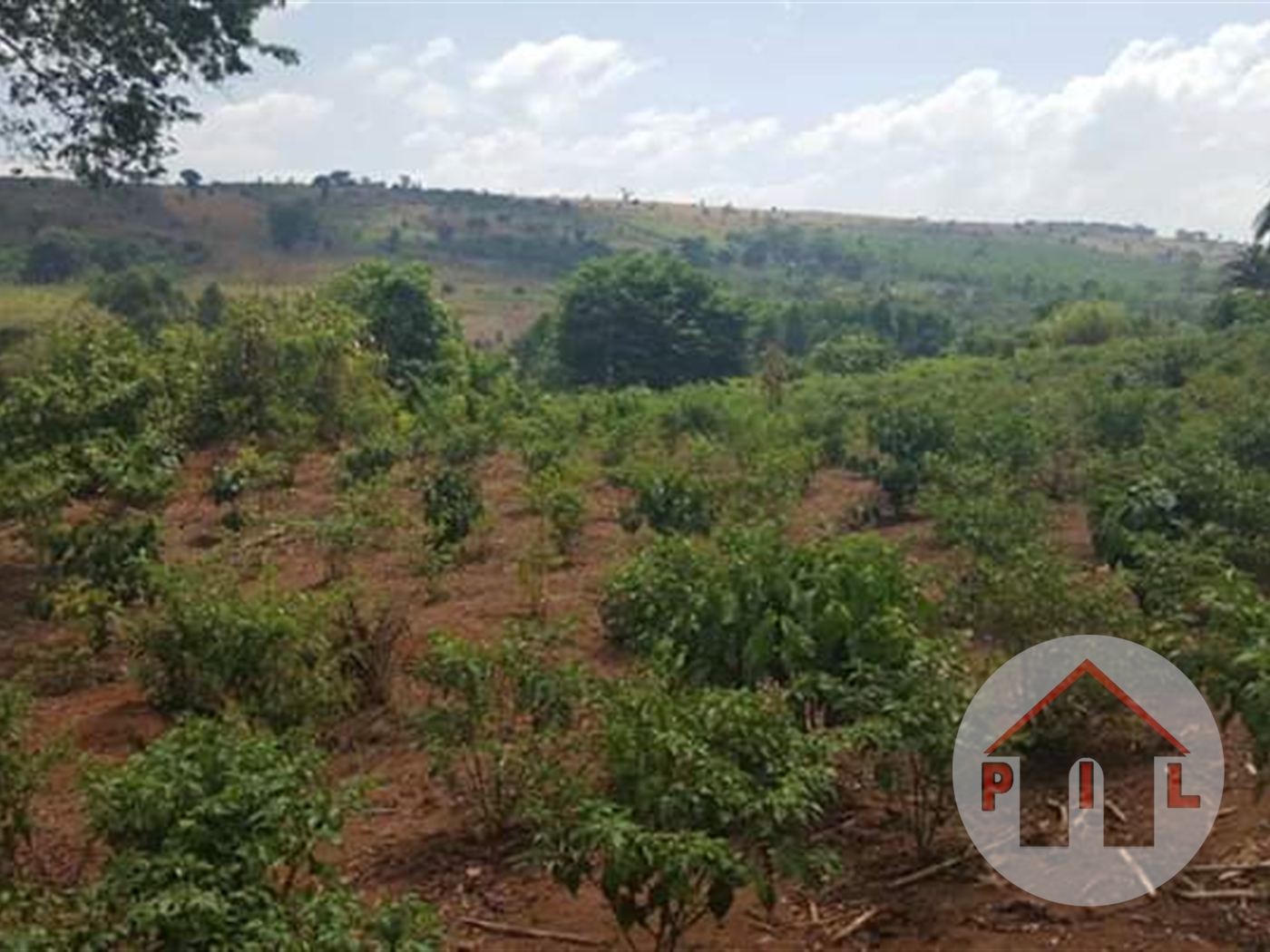 Residential Land for sale in AbayitaAbabiri Wakiso