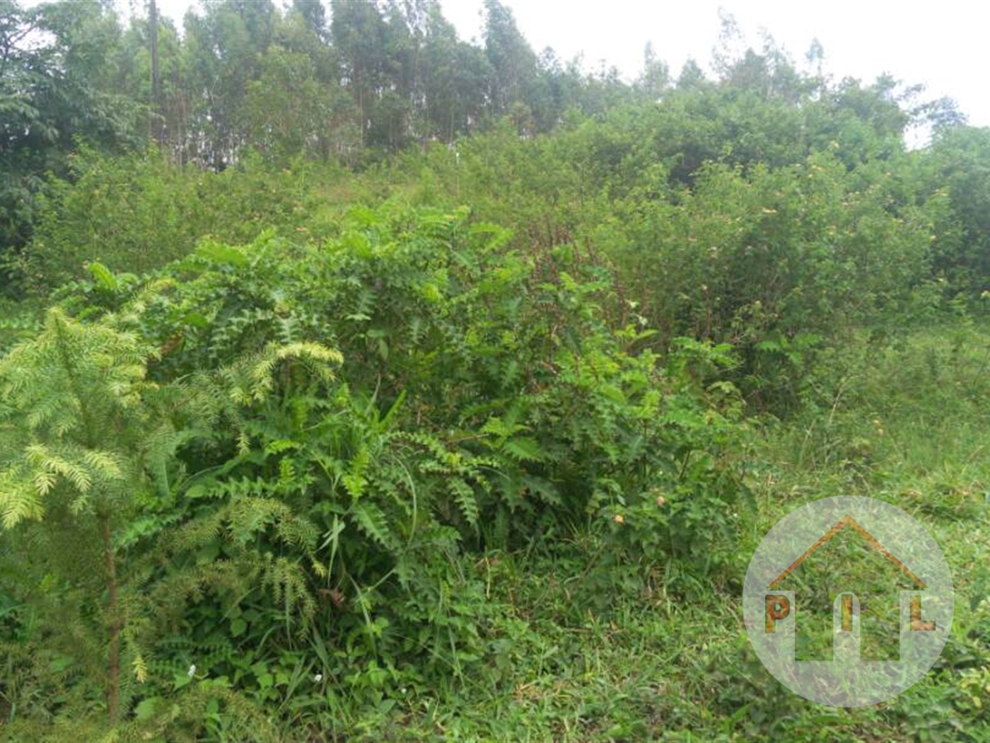 Residential Land for sale in Gayaza Wakiso