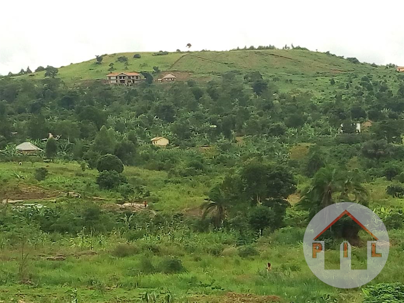 Agricultural Land for sale in Maaya Wakiso