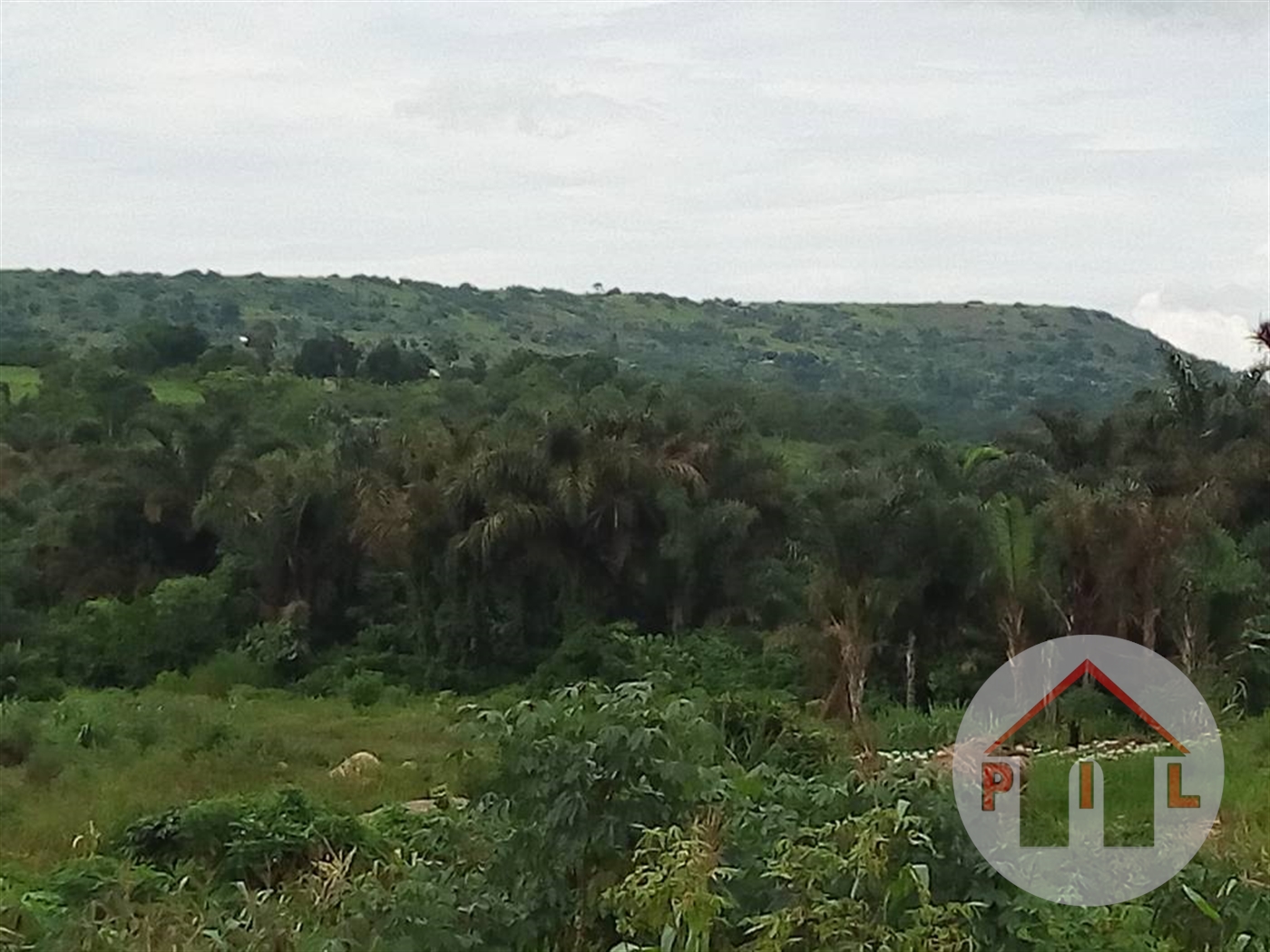 Agricultural Land for sale in Maaya Wakiso