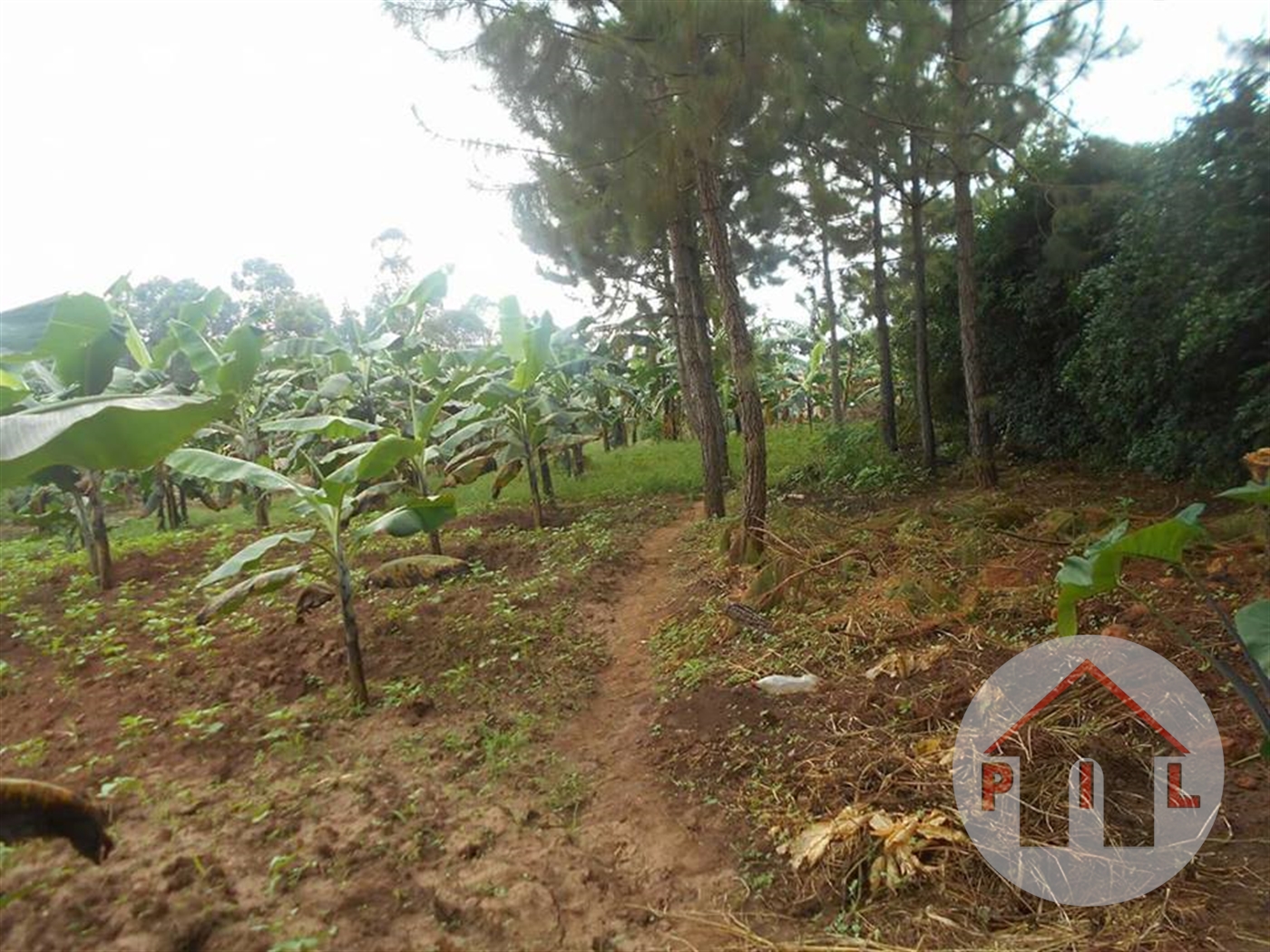 Residential Land for sale in Kira Wakiso