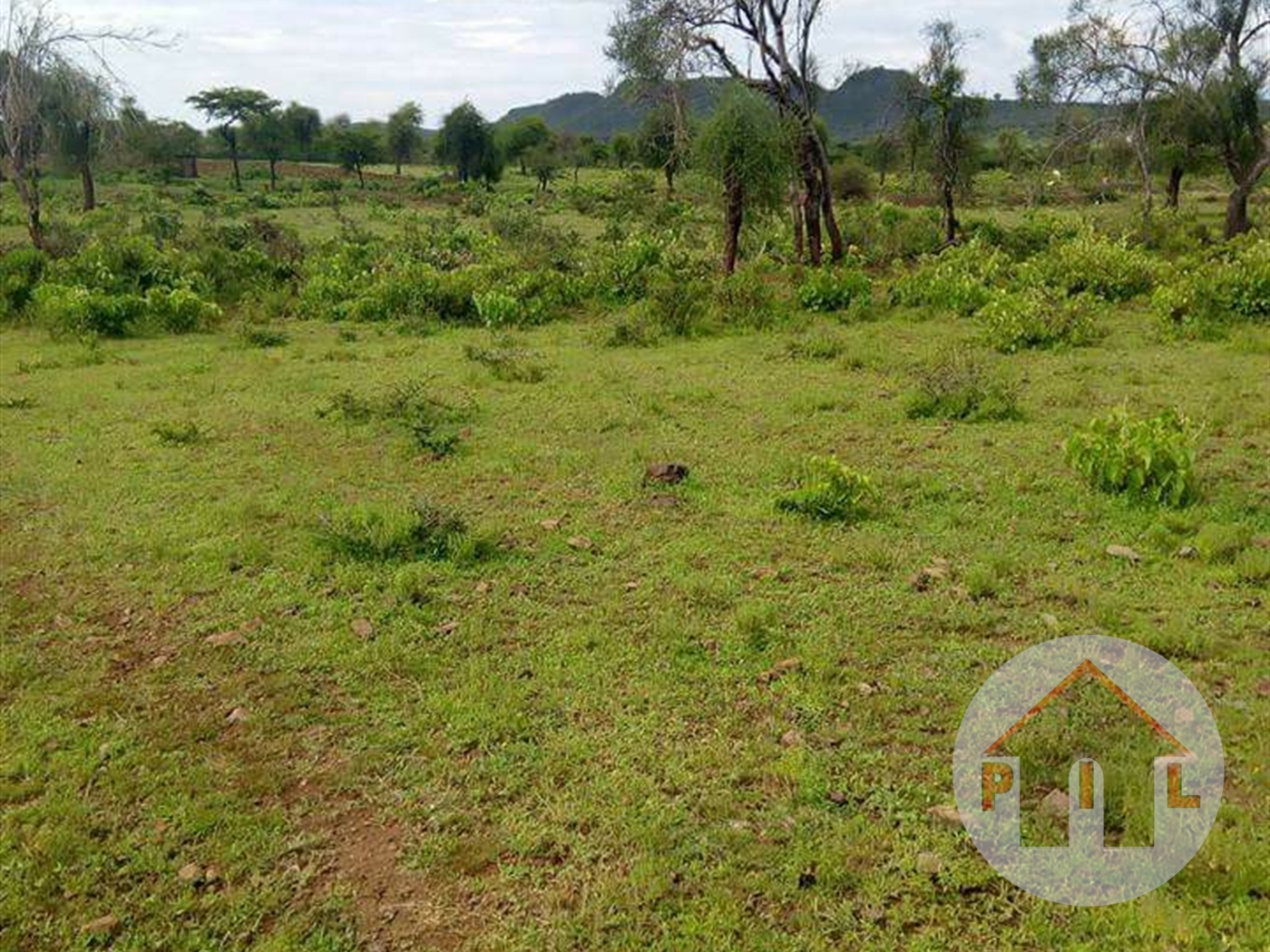 Agricultural Land for sale in Ssemuto Luweero