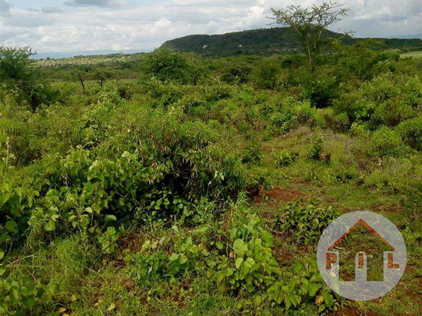 Agricultural Land for sale in Ssemuto Luweero