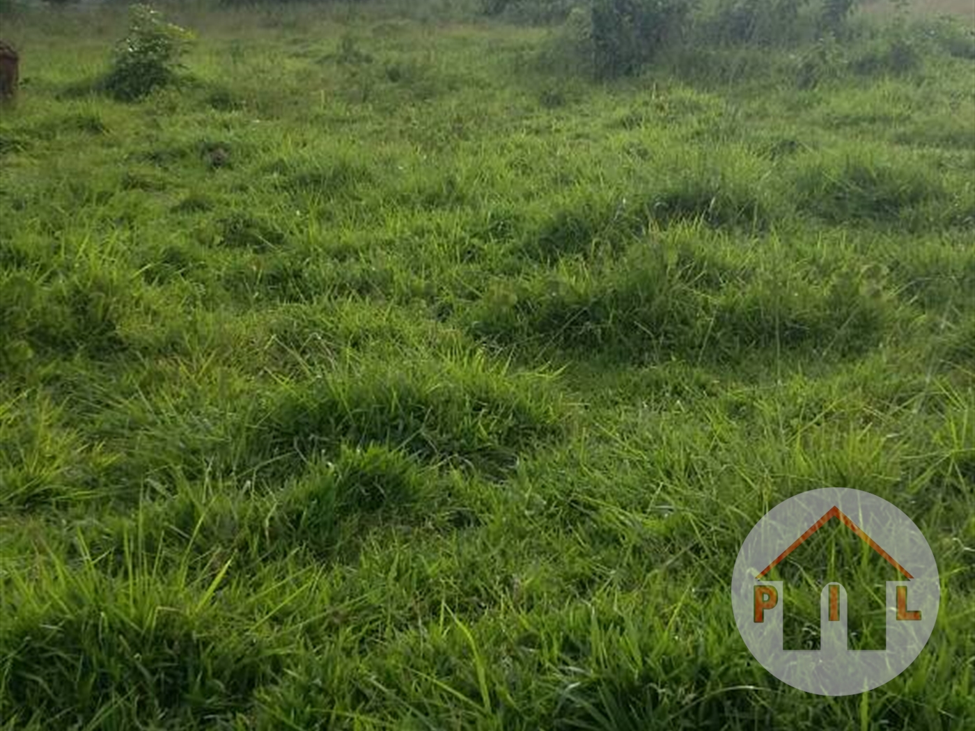 Agricultural Land for sale in Kasambya Mubende