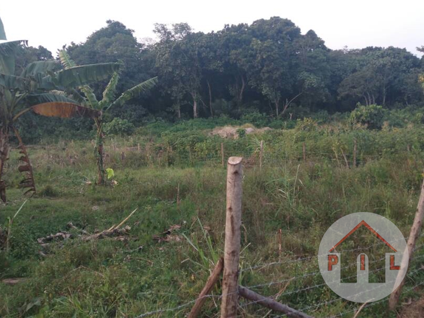 Agricultural Land for sale in Ntenjjeru Mukono