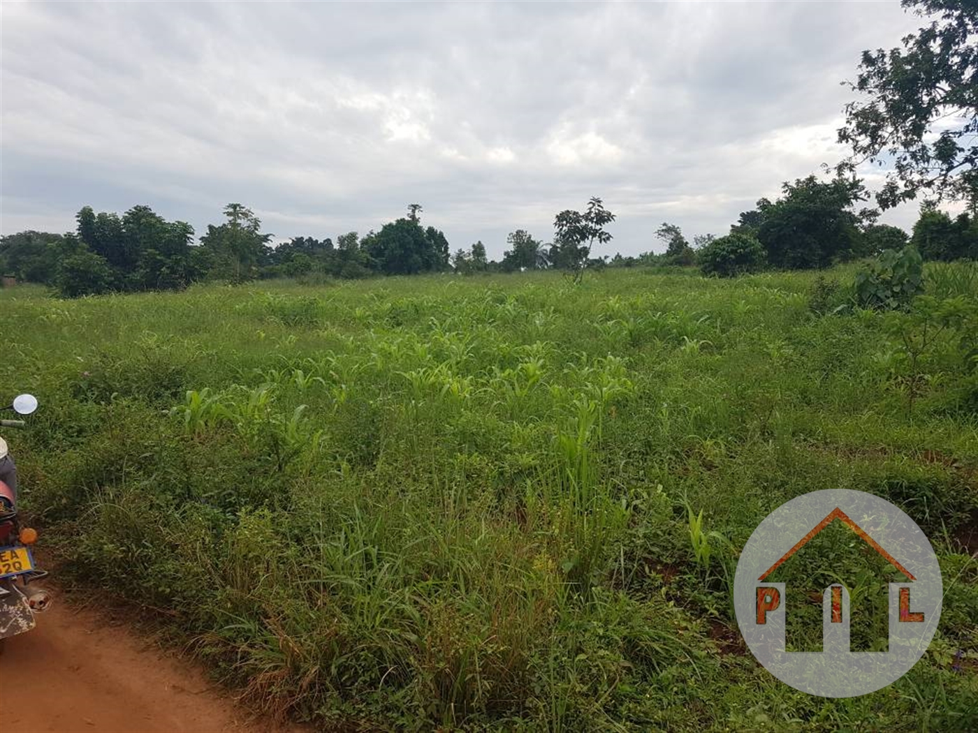 Agricultural Land for sale in Nshara Kiruhura
