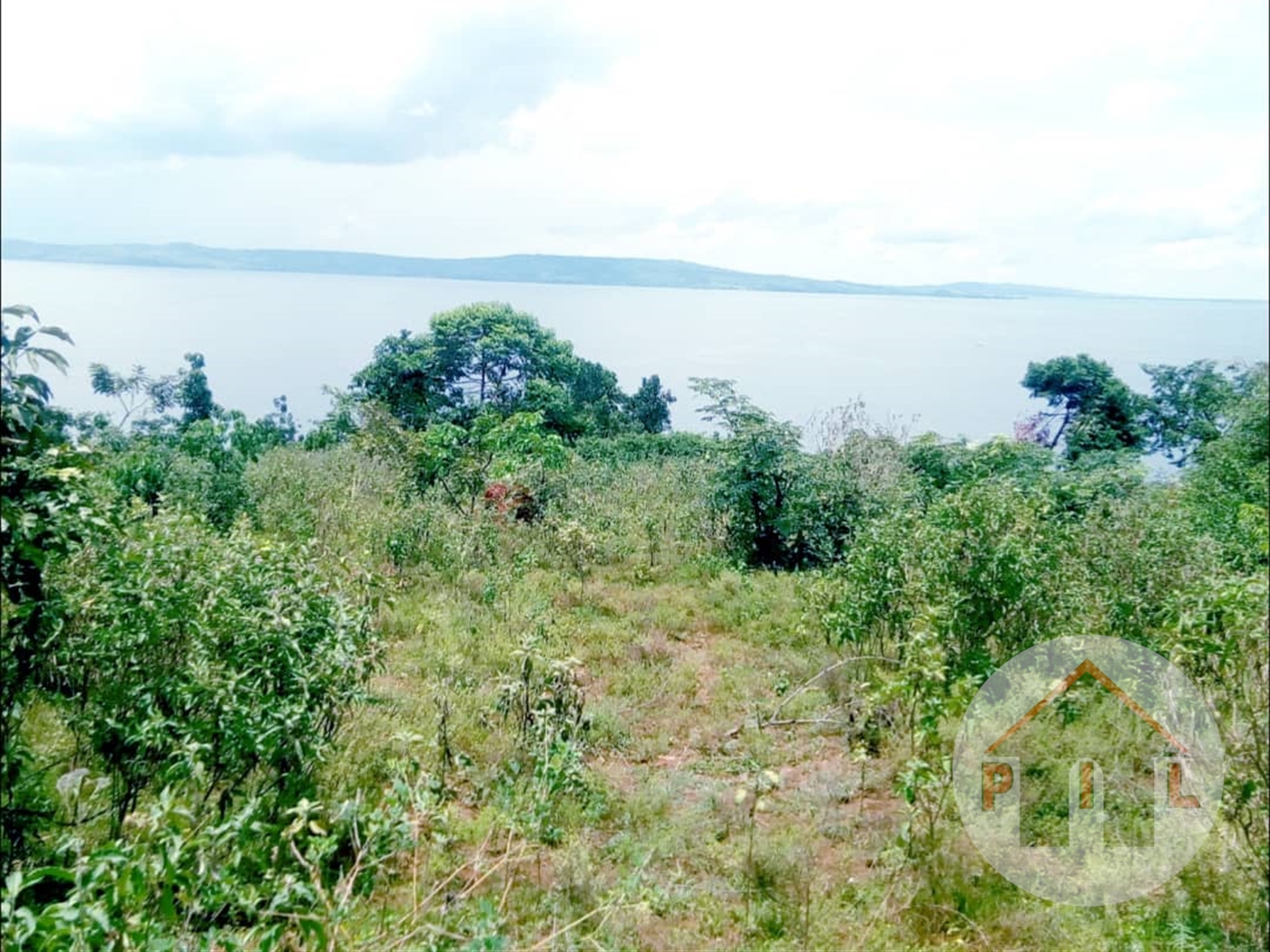 Agricultural Land for sale in Kasenyi Wakiso