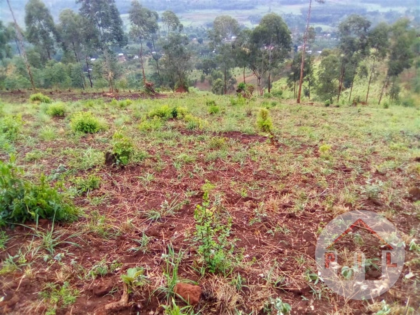 Agricultural Land for sale in Bombo Nakaseke