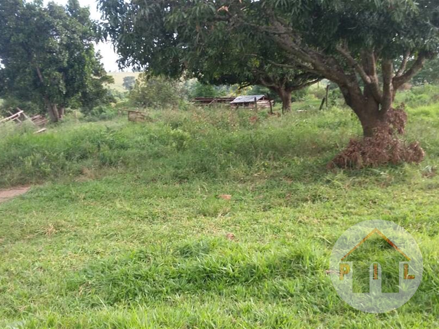 Agricultural Land for sale in Namataba Mukono