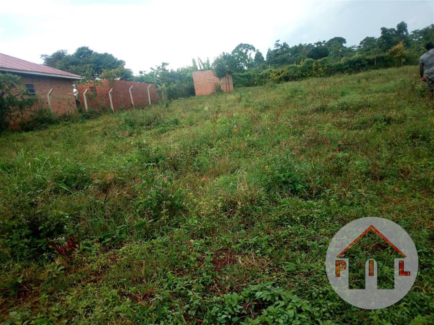 Agricultural Land for sale in Nakisunga Mukono