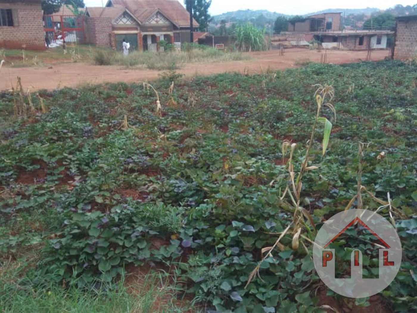 Residential Land for sale in Salaama Wakiso