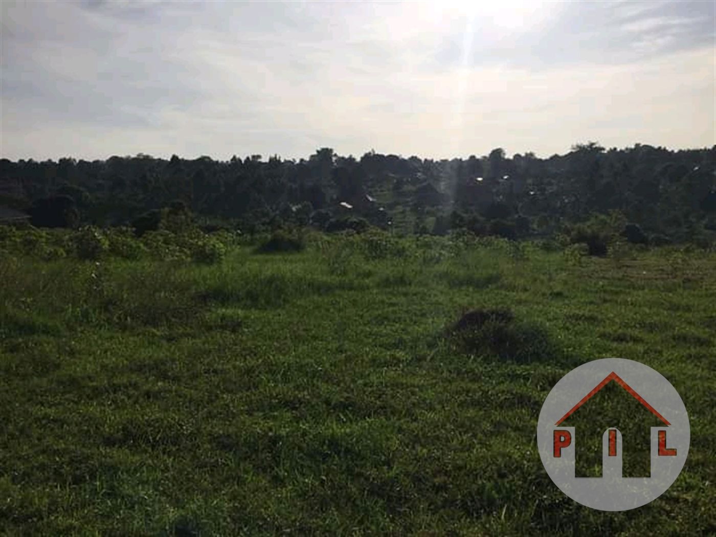 Agricultural Land for sale in Kijabijo Wakiso